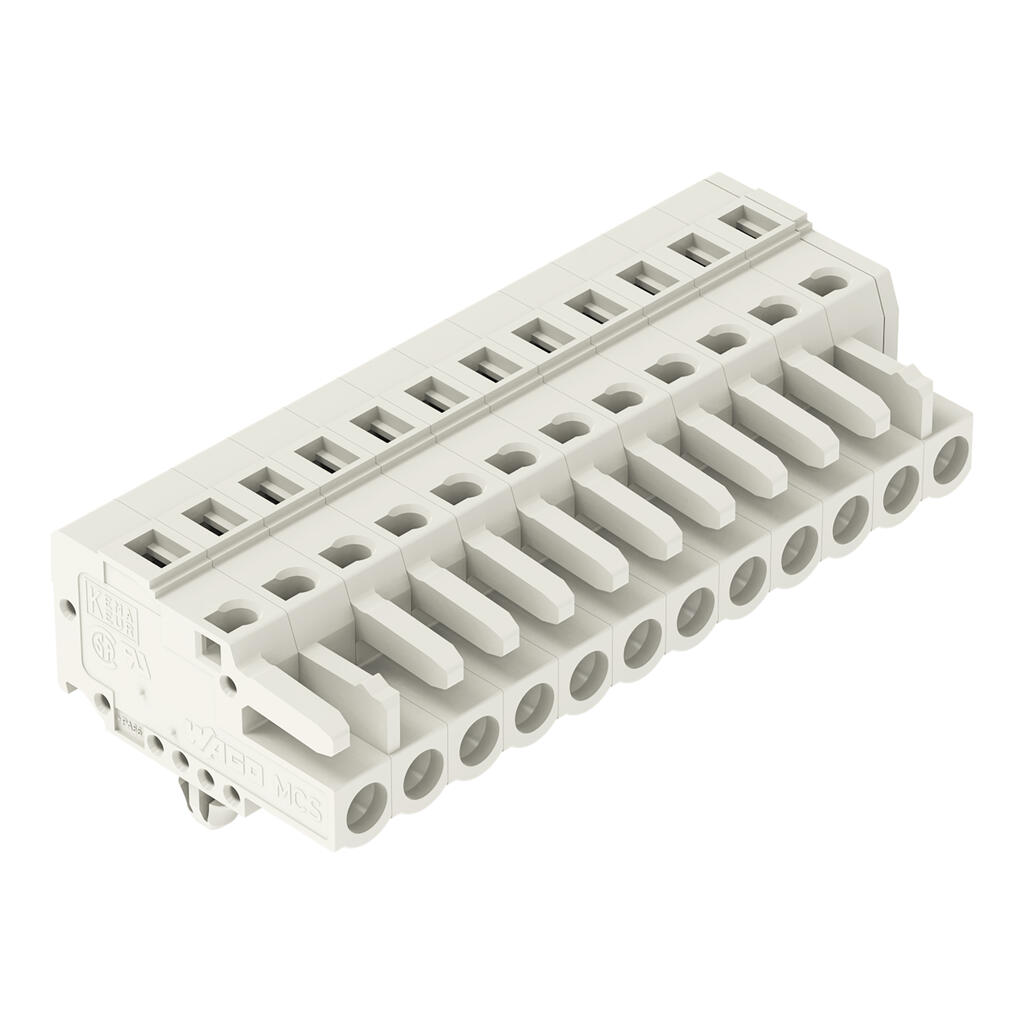 ROBAUN 10 stuks 2-pins stekker vrouwelijke draadconnector 6189-0611 ROBAUN 10 stuks 2-pins stekker vrouwelijke draadconnector 6189-0611