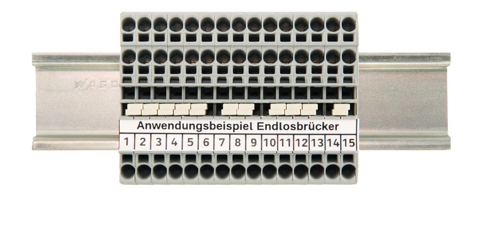 391603_5 391603_5