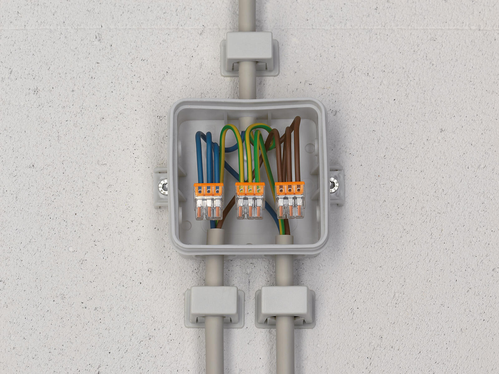 Wago Box Rounded Products for Electrical Installers | WAGO