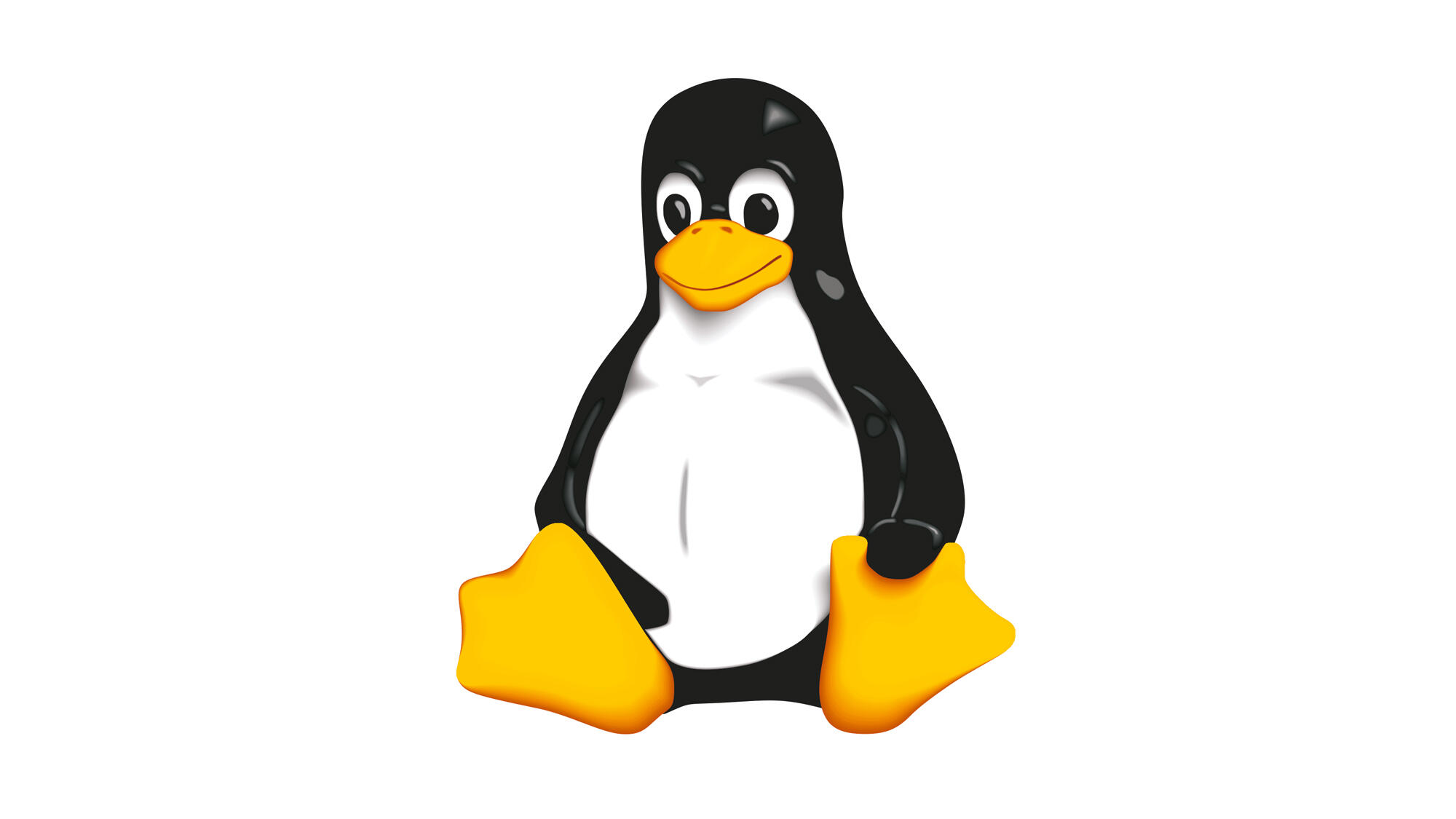 Controllers with Embedded Linux | WAGO USA