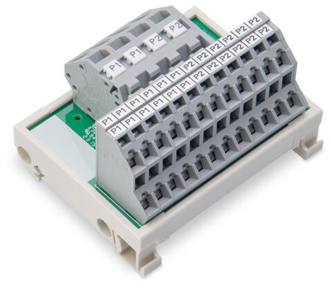 Potential distribution module; 2 potentials; with 2 input clamping points each; Conductor cross-section up to 6 mm²; with 12 output clamping points each; Conductor cross-section up to 2.5 mm²; gray