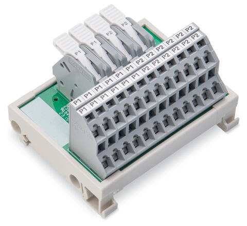 Modulo per distribuzione del potenziale; 2 potenziali; con 2 punti di contatto ingresso ognuno; Sezione conduttore fino a 6 mm²; con leva; con 12 punti di contatto d'uscita ognuno; Sezione conduttore fino a 2,5 mm²; grigio
