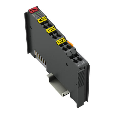 2-channel relay output; AC 250 V; 1 A; 2 changeover contacts; Extreme