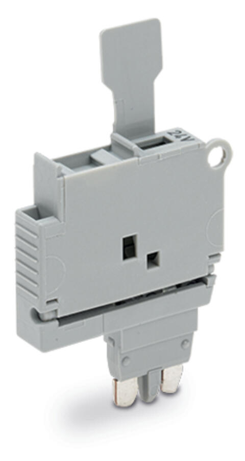 Fuse plug with pull-tab; for 5 x 20 mm miniature metric fuse; with indicator lamp; 12 - 30 V; 6.1 mm wide