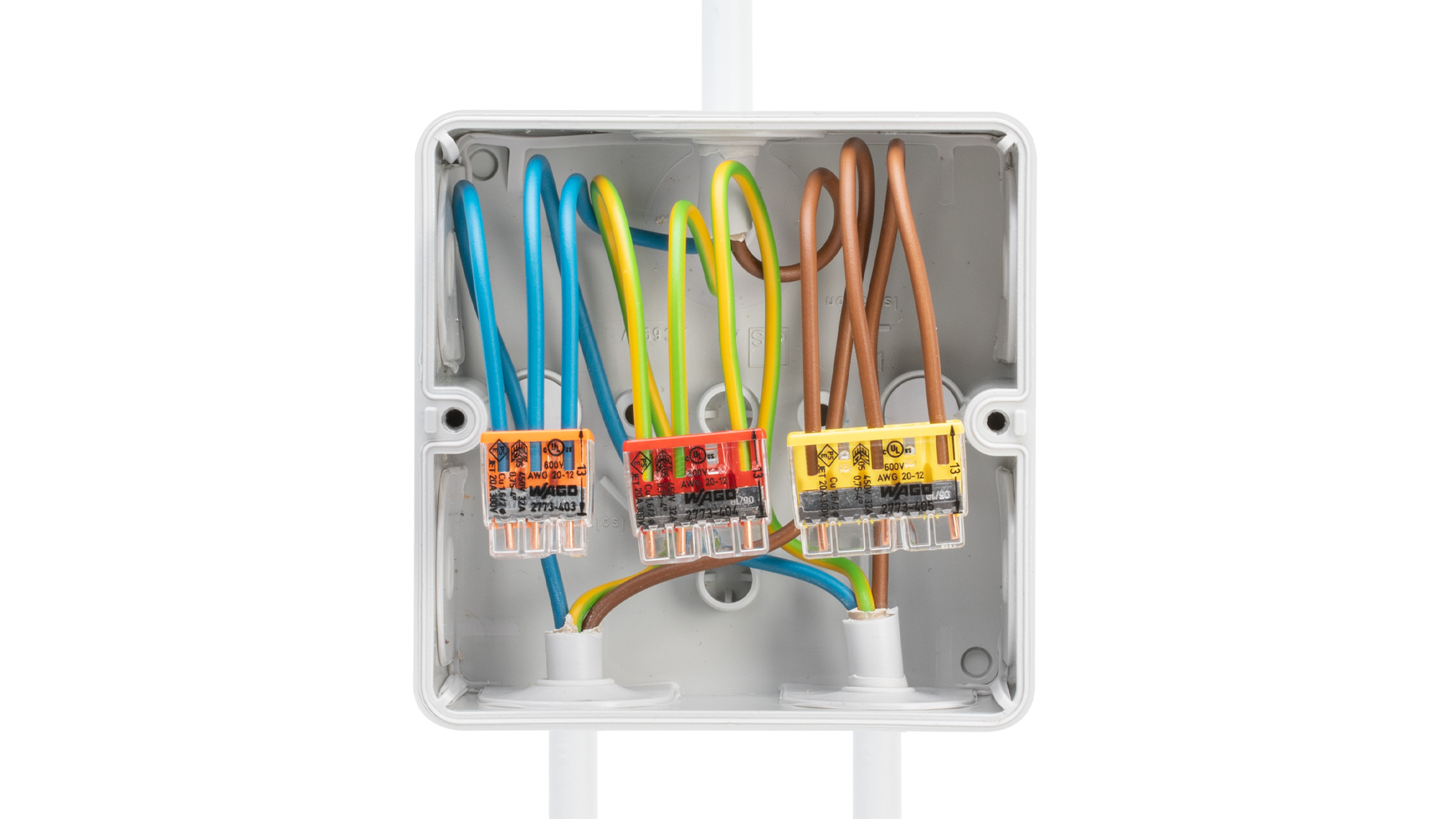 2773 Push-Wire Connectors | WAGO USA